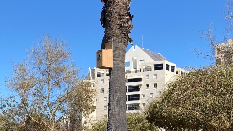 יער מאכל טו 2.jpeg