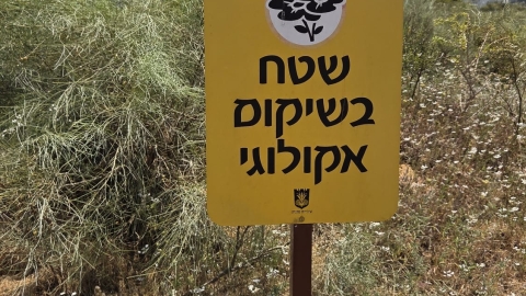 מגדלי שכונת עיר ימים על רקע שמורת האירוסים.jpg